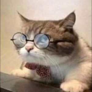 Meet your Posher, Gavin